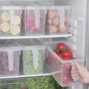 Plastic Refrigerator Storage Rack