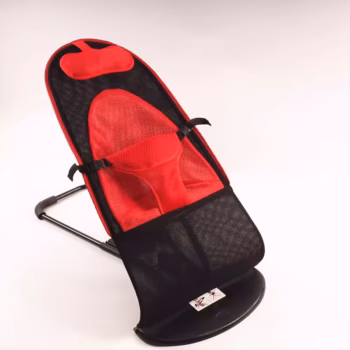 Cool Lion Baby Bouncer Seat